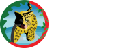 Cafe chiapaneco